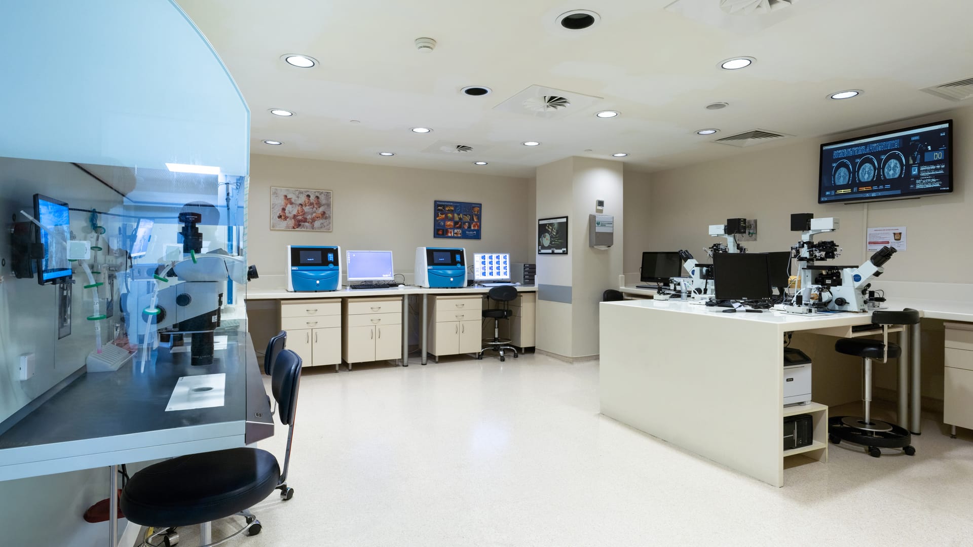 Sperm collection and embryo creation process