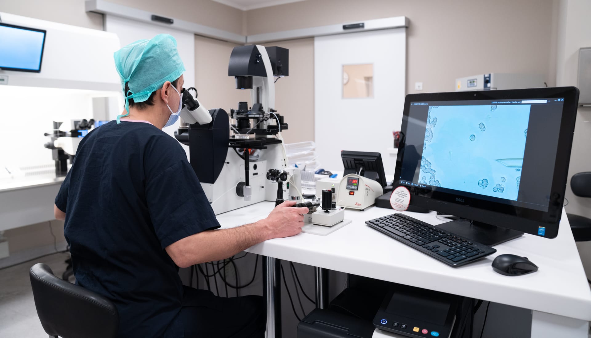 Embryo development monitoring and tracking