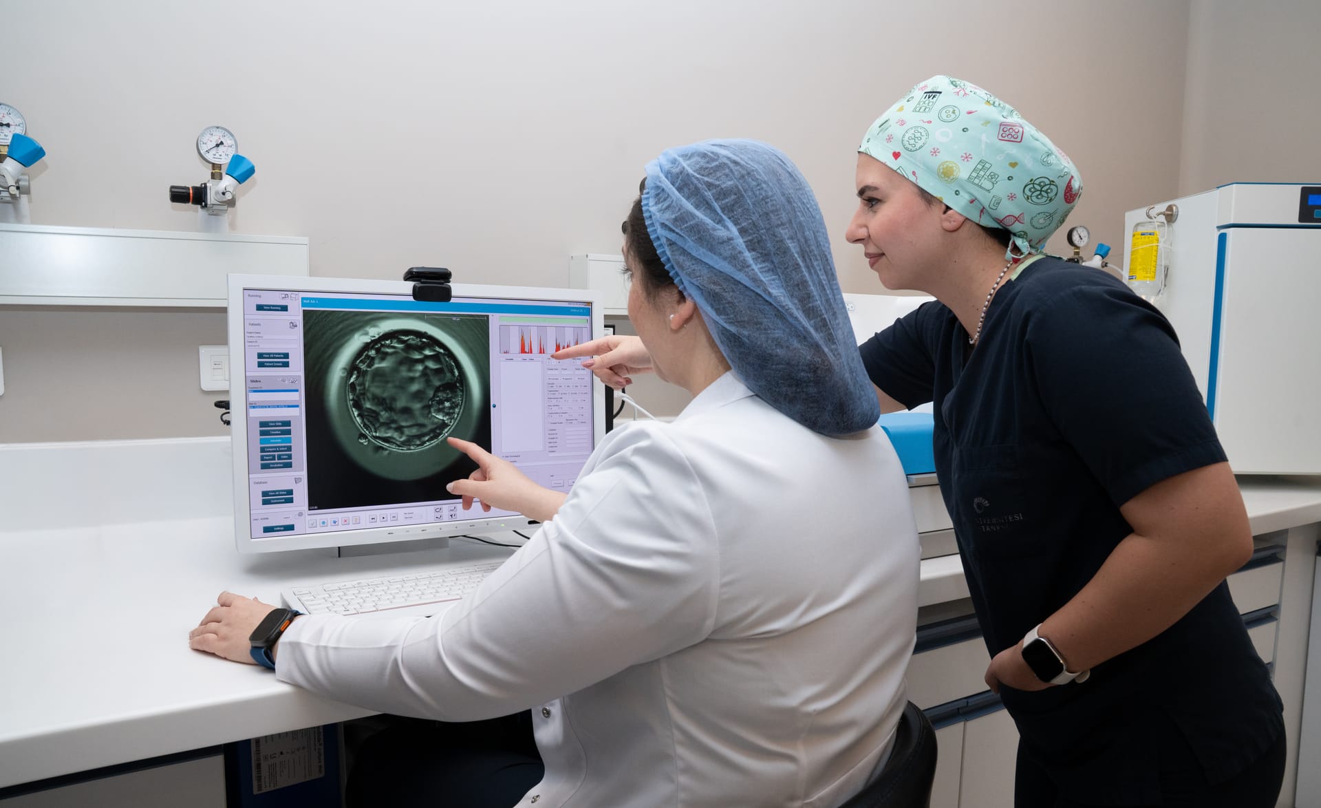 Embryo transfer procedure and pregnancy test